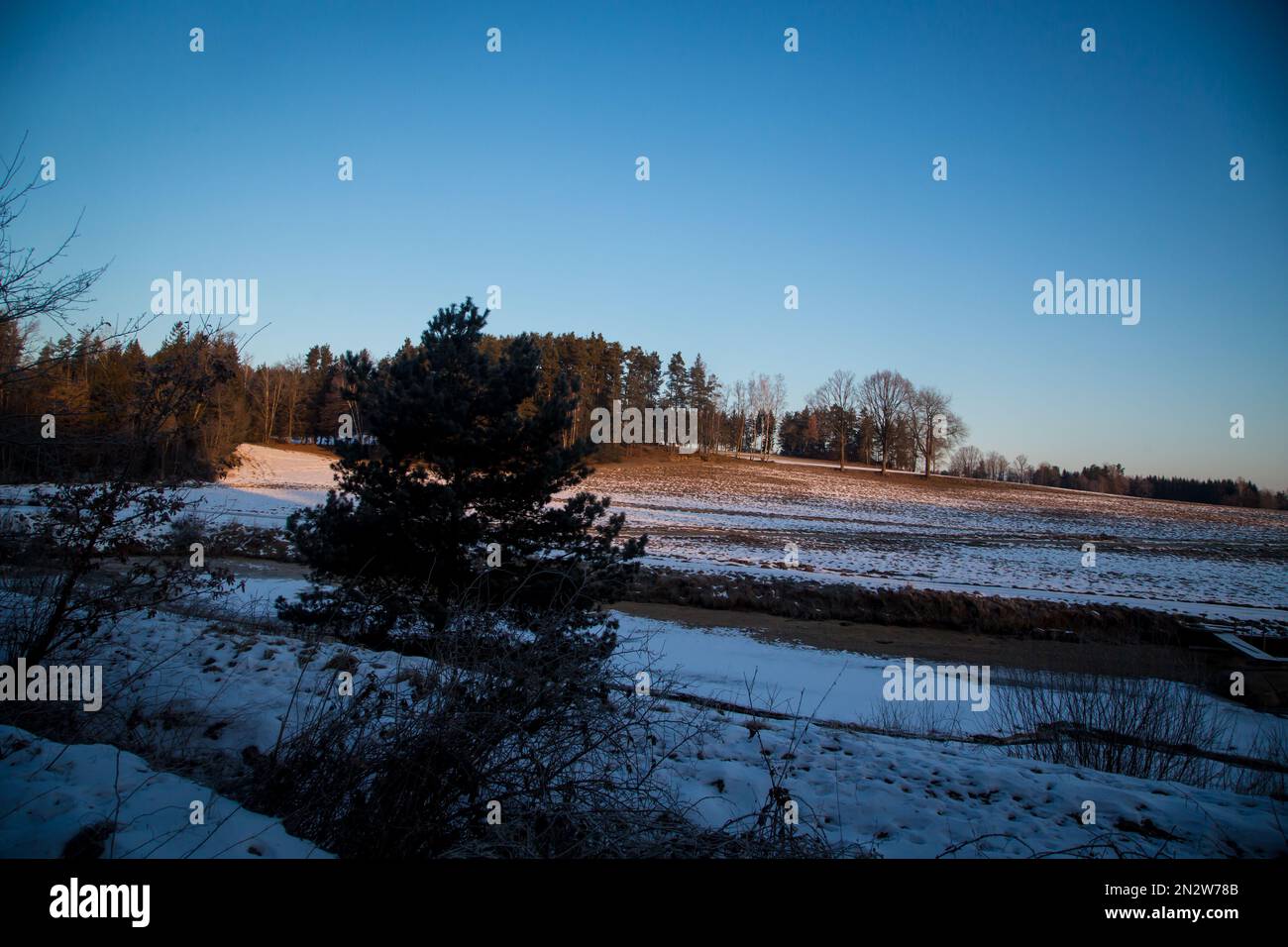Kleiner eiskalter Karpfenteich an einem kalten Wintermorgen, Waldviertel/Österreich Stockfoto