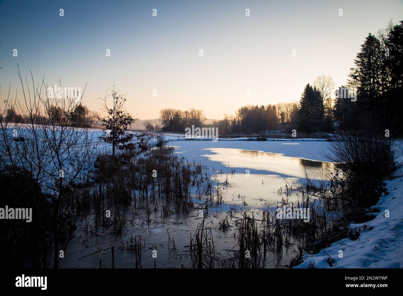 Kleiner eiskalter Karpfenteich an einem kalten Wintermorgen, Waldviertel/Österreich Stockfoto