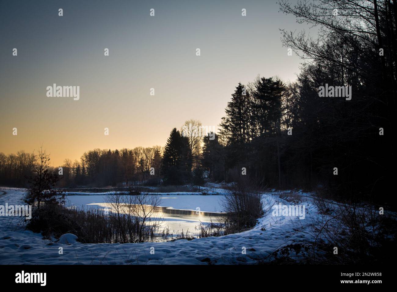 Kleiner eiskalter Karpfenteich an einem kalten Wintermorgen, Waldviertel/Österreich Stockfoto