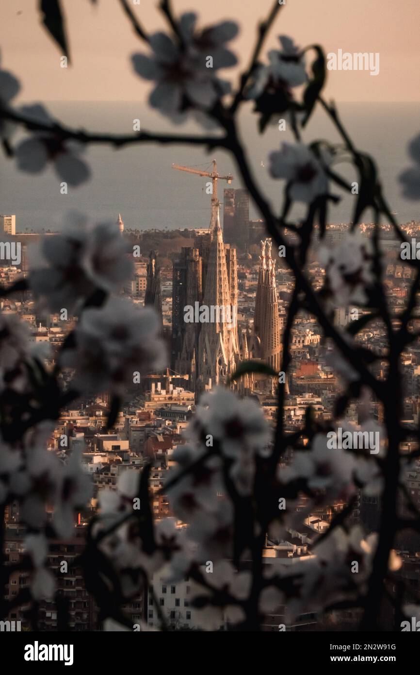 La Sagrada Familia, Barcelona-Spanien Stockfoto