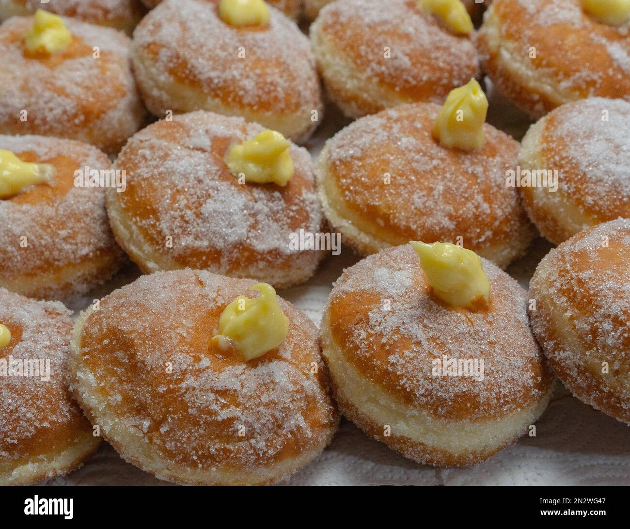 Hausgemachte gebratene Donuts gefüllt mit Vanille und gewürzt mit einem Schleier Zucker Stockfoto