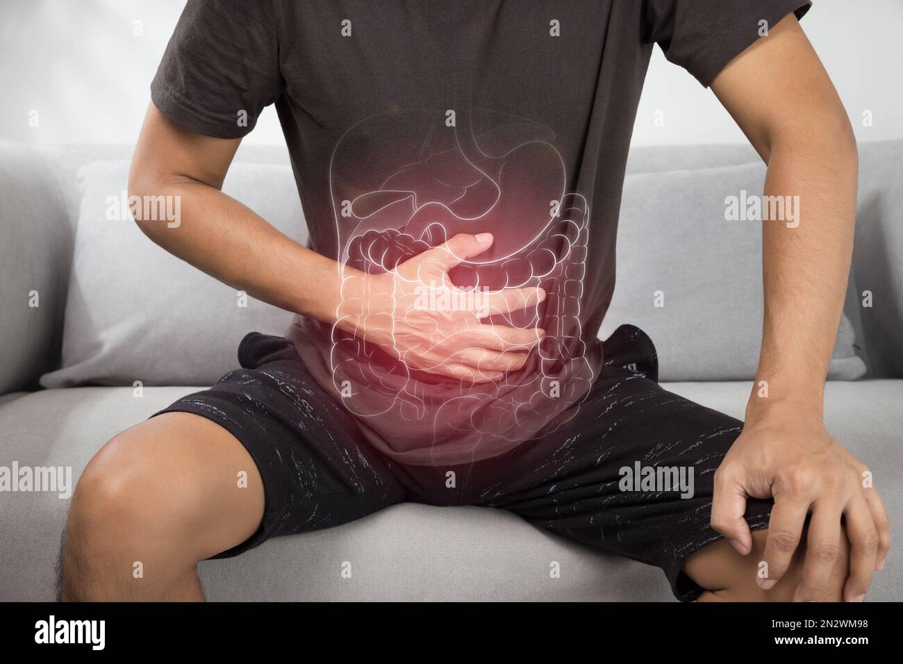 Die Darstellung der inneren Organe ist auf dem menschlichen Körper. Stockfoto