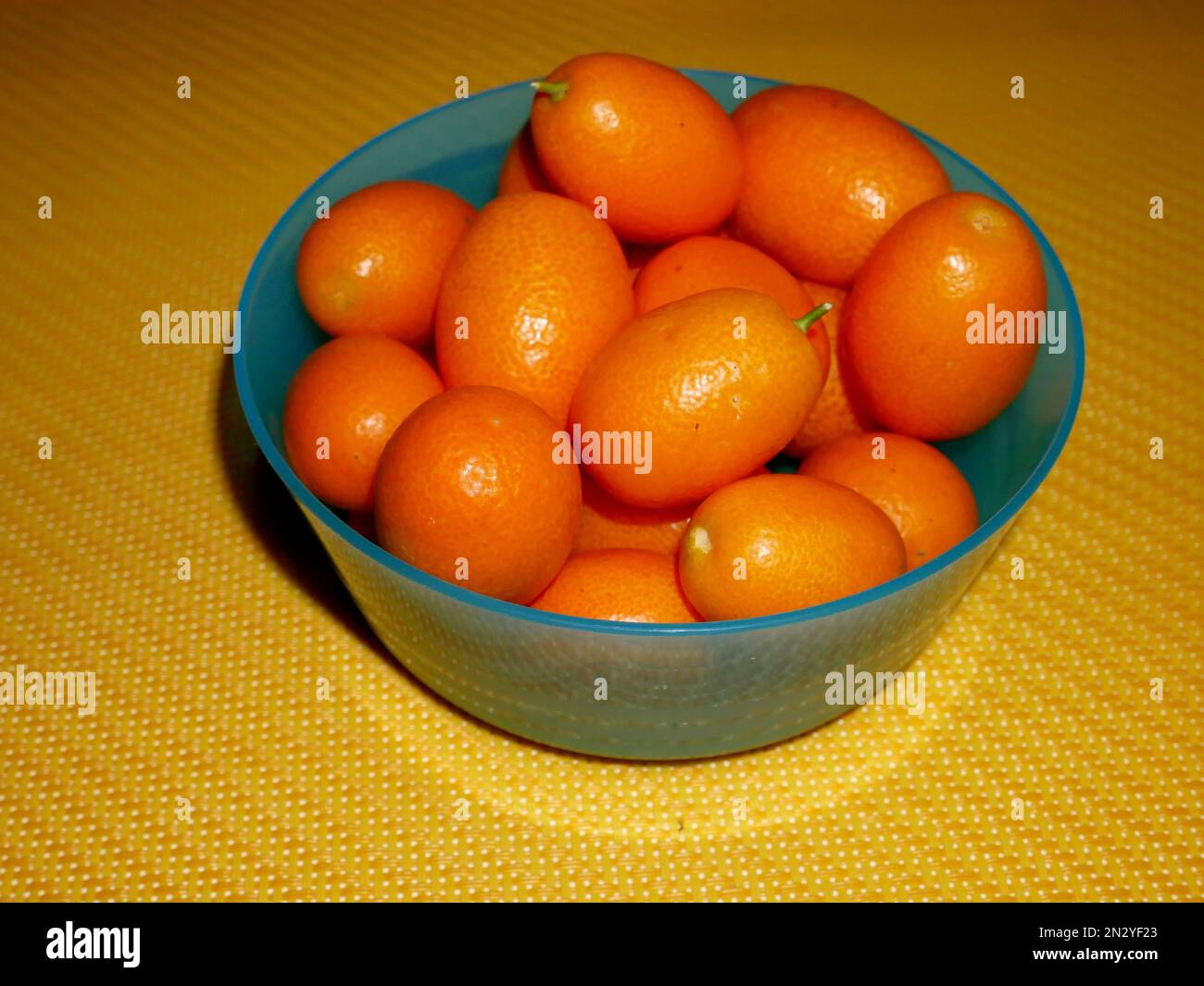 Frische Kumquat-Früchte (fortunella margarita) Stockfoto