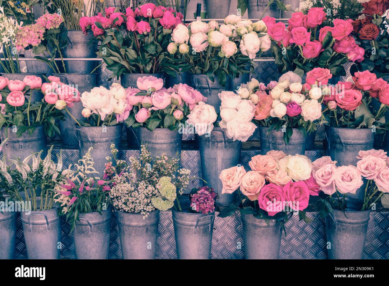 Blumenausstellung mit rosafarbenen Blumen einschließlich Rosen und Pfingstrosen in rustikalen Zinktöpfen Stockfoto