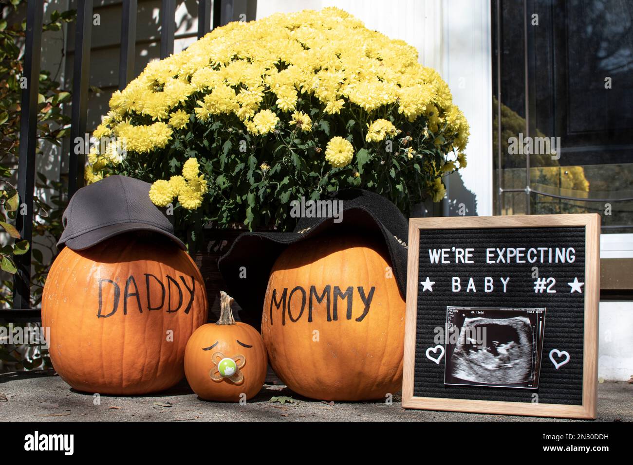 Herbstschwangerschaftsankündigung mit Kürbissen und Ultraschallbild Stockfoto