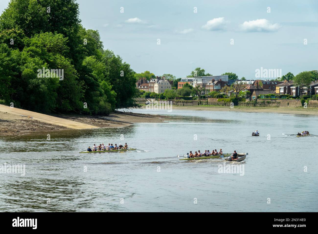 Studententeams, die auf der Themse in Hammersmith, London, Großbritannien rudern Stockfoto