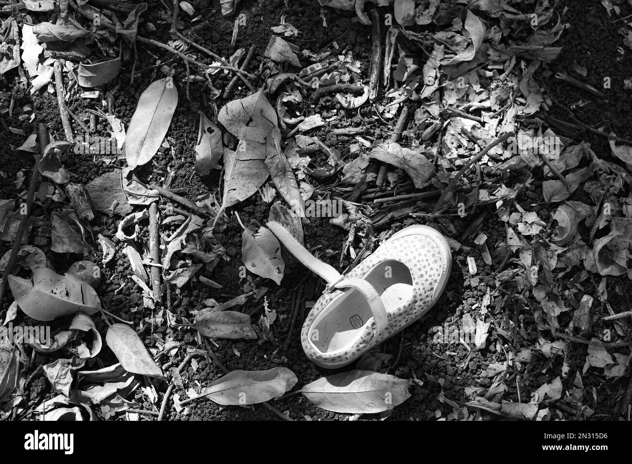 Verlorener Einzelschuh des Kindes auf dem Boden des Waldes. Verlorenes, vermisstes Kind Stockfoto