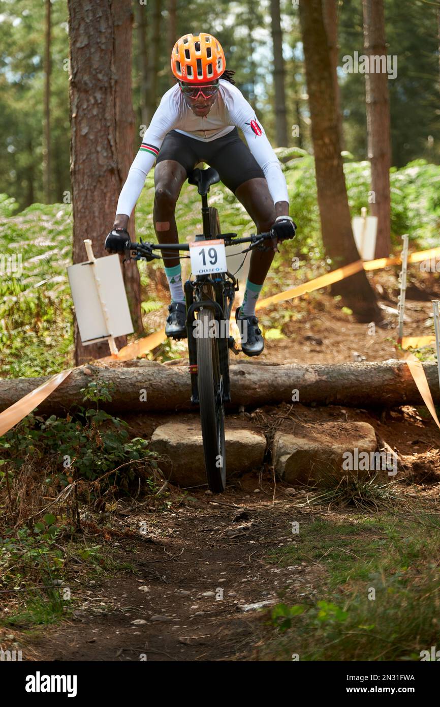 Commonwealth Games 2022, Cannock Chase UK Stockfoto