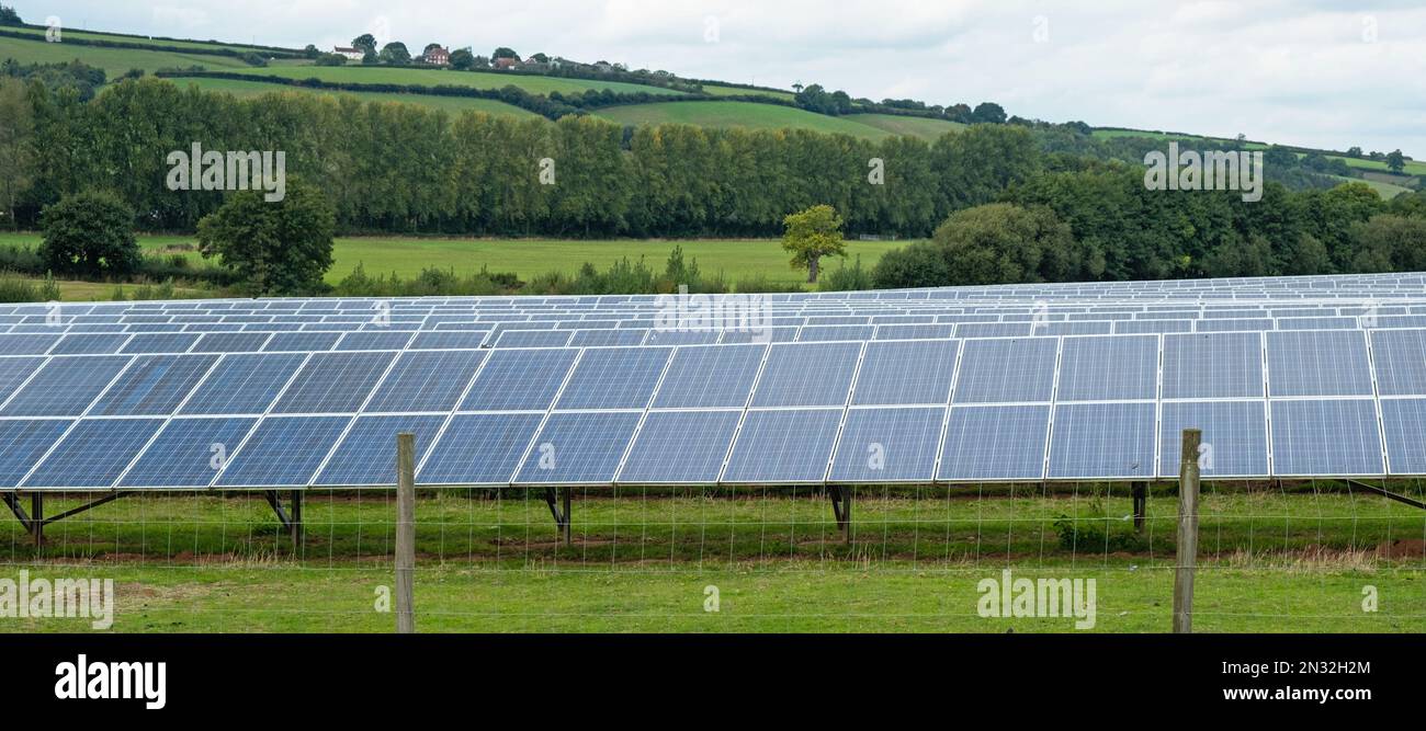 Anordnungen von Solarpaneelen, die parallel zu einer Baumlinie auf einem Betrieb in East Devon UK installiert sind und das nationale Netz mit Strom versorgen Stockfoto