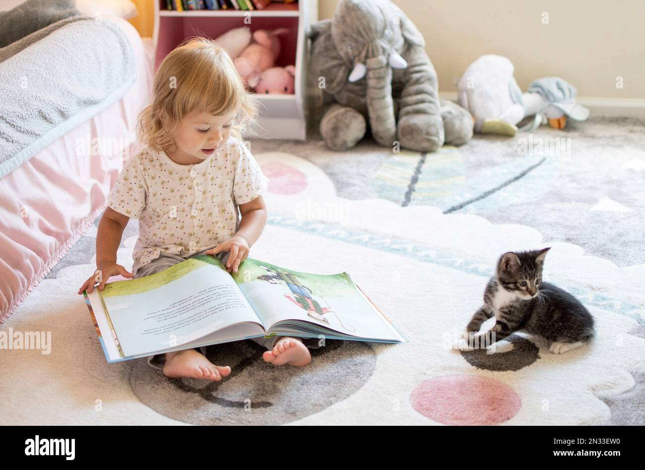 Roanoke, Virginia USA - 24. August 2021 : Kind liest ein Buch mit dem Kätzchen Stockfoto