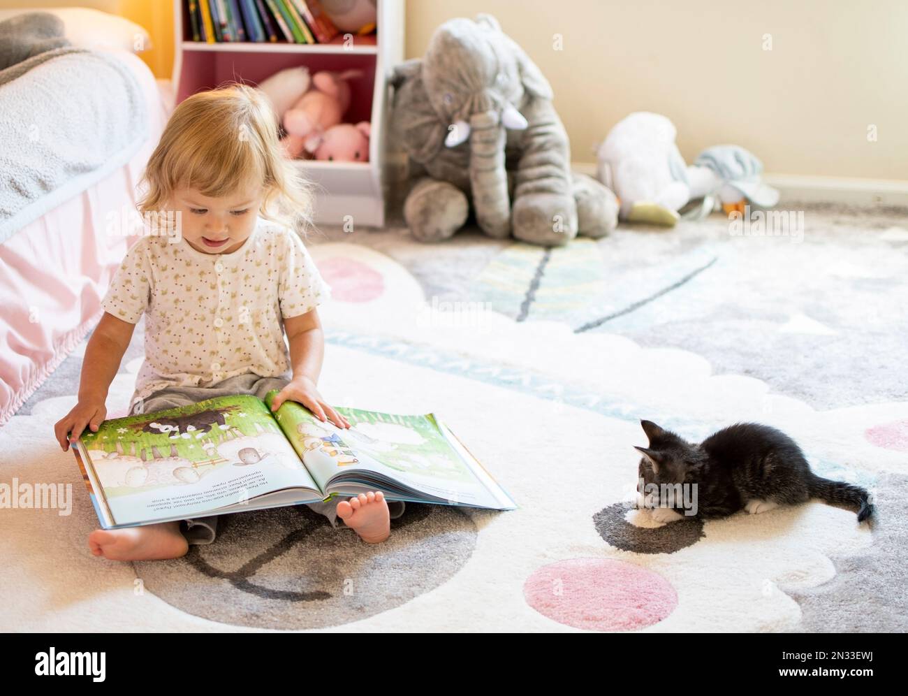 Roanoke, Virginia USA - 24. August 2021 : Kind liest ein Buch mit dem Kätzchen Stockfoto