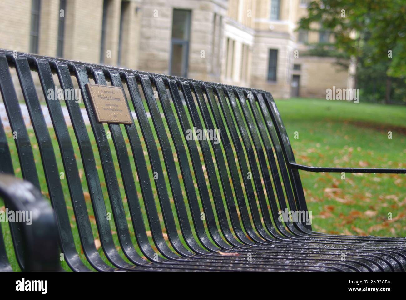 Nassschwarze Eisenbank mit Rahmensponsor mit einem Steinhaus im Hintergrund, in einem Park während der Herbstsaison. Stockfoto