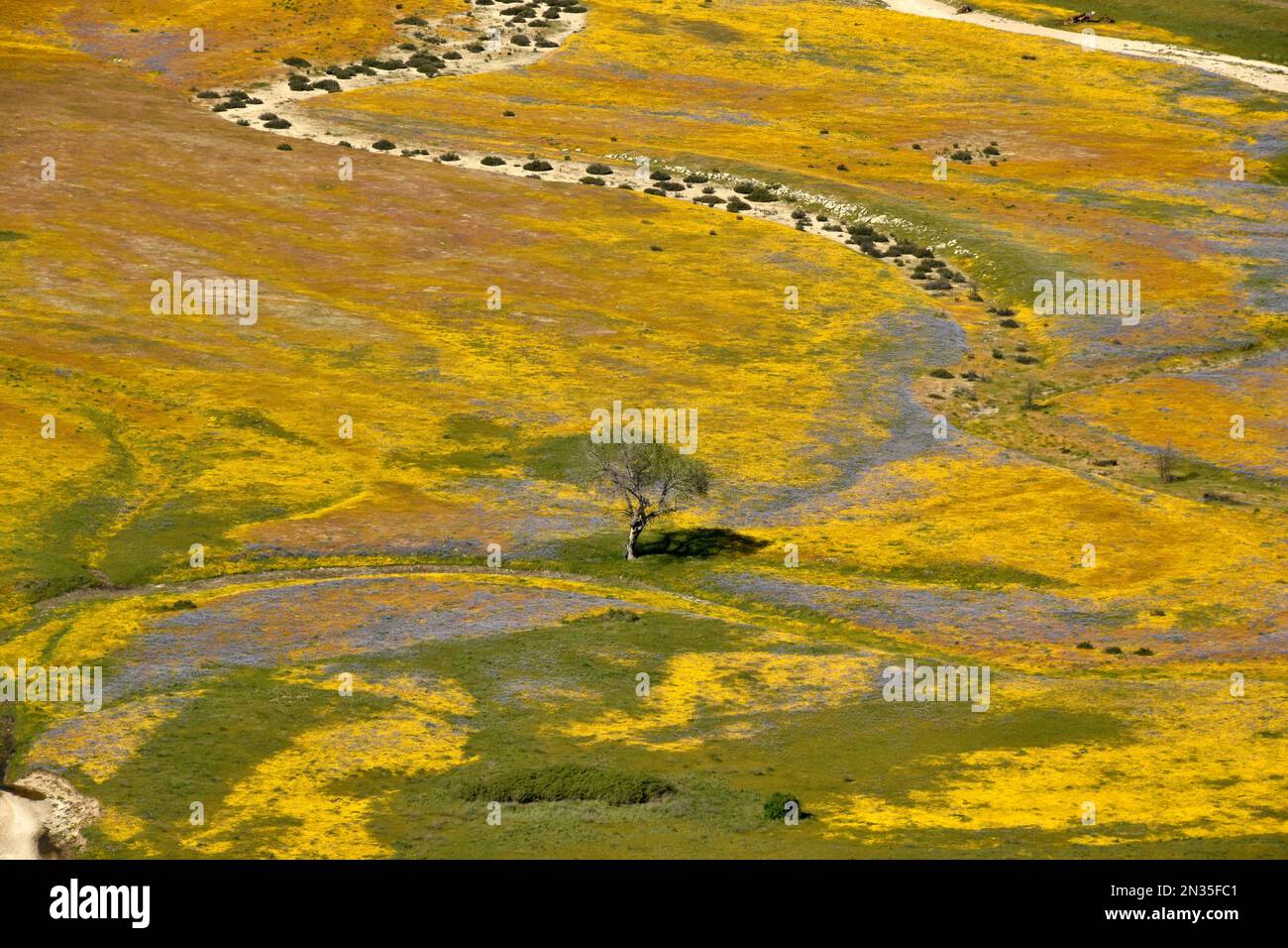 Aerials of Fort Hunter Liggett, Kalifornien und Umgebung, 10. April 2019. Stockfoto