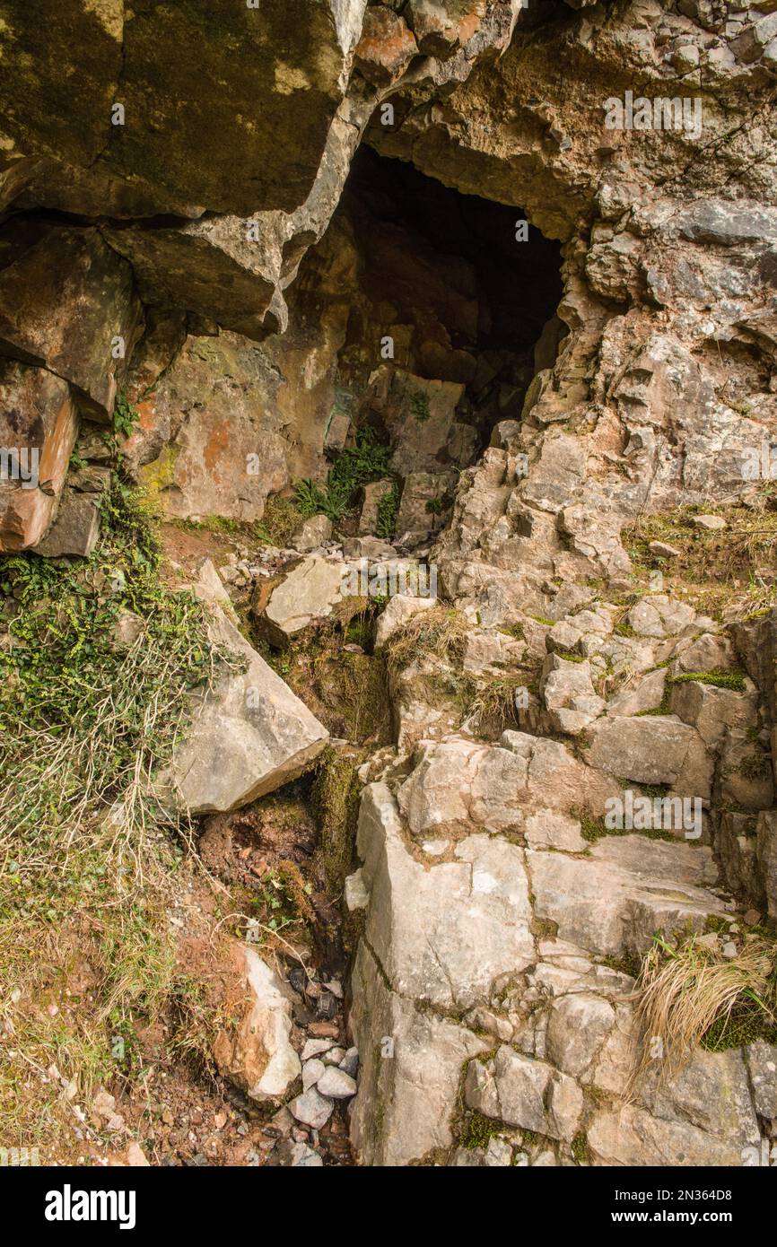 Hoch oben am Eingang der Höhle am verlassenen Penwyllt Kalksteinbruch im Fforest Fawr Geopark South Wales Stockfoto