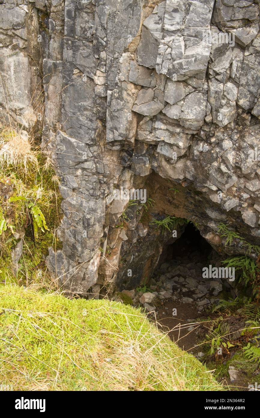 Ein Porträtformat einer Höhle am Boden der Steinbruchwand und des Kalksteins um sie herum in Penwyllt. Stockfoto