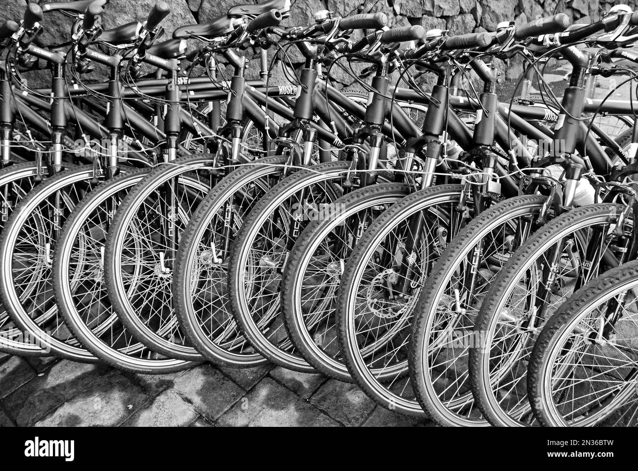 Viele identische schwarze Fahrräder, angekettet, wahrscheinlich für Gruppenreisen Stockfoto