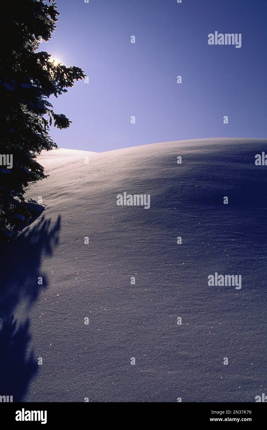 Winter, Ottawa, Ontario, Kanada Stockfoto