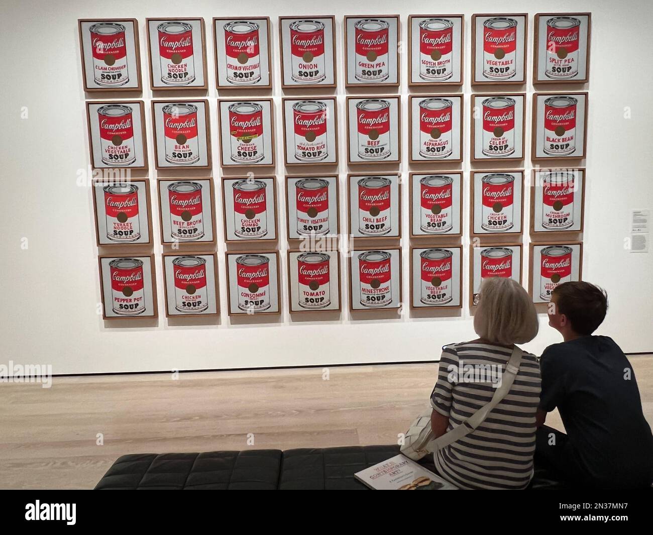 Die berühmten Campbell's Soup Cans von Andy Warhol im Museum of Modern Art in New York City. Stockfoto