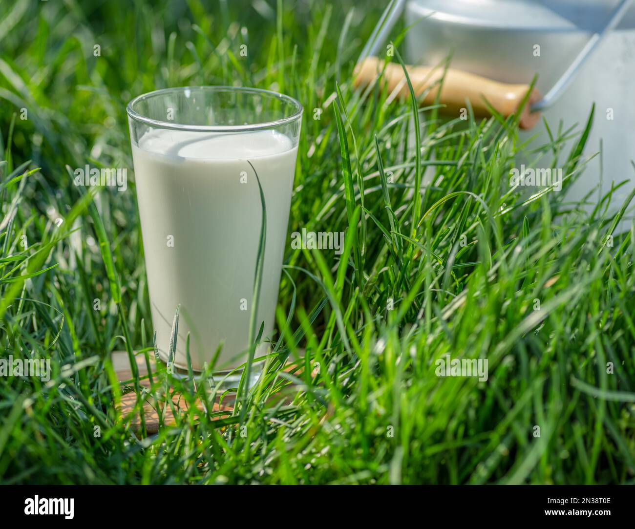 Glas frische Milch und Milchkannen im grünen Gras an sonnigen Sommertagen. Stockfoto