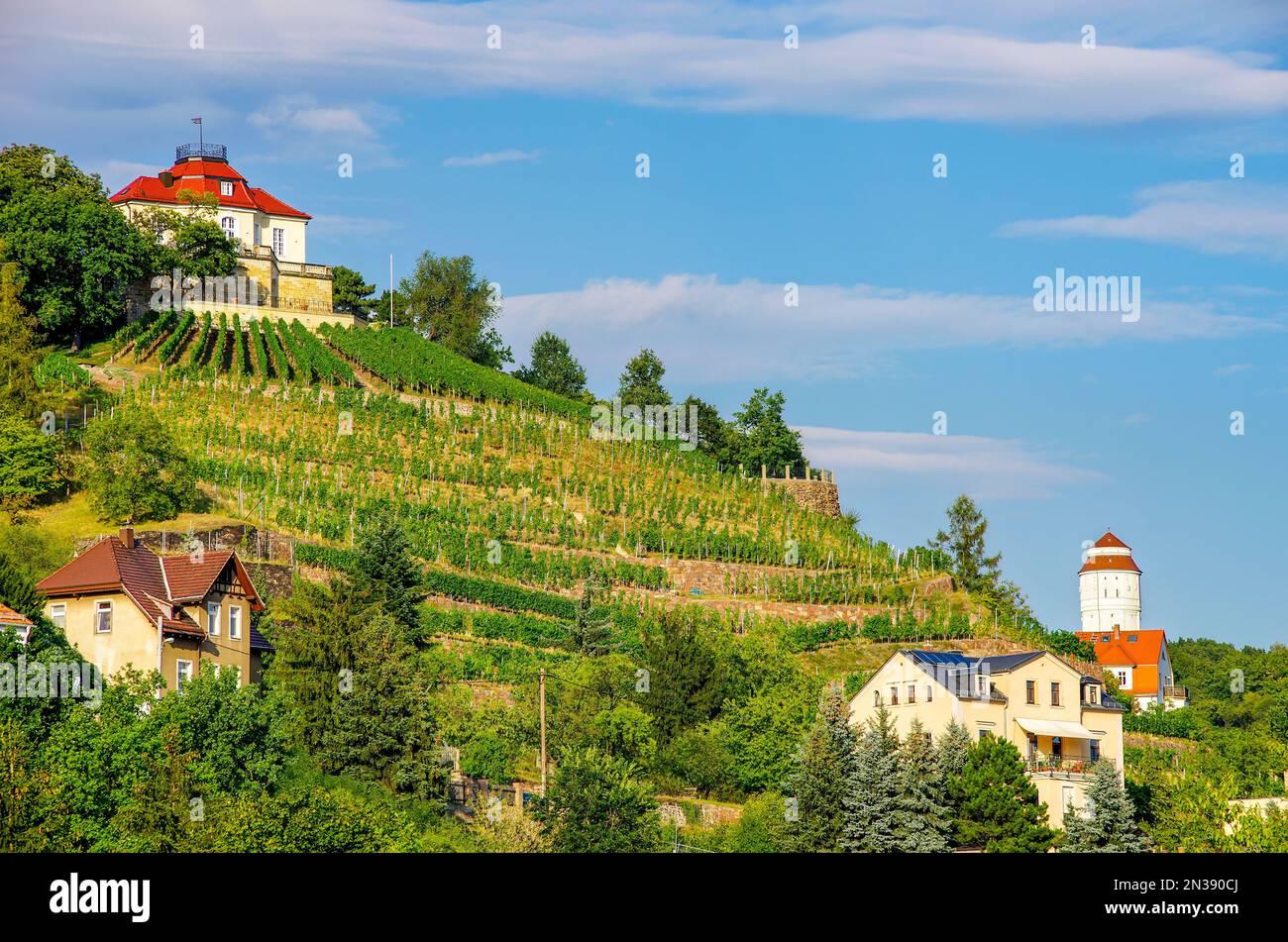 Malerische Landschaft der historischen Weinberge von Radebeul über