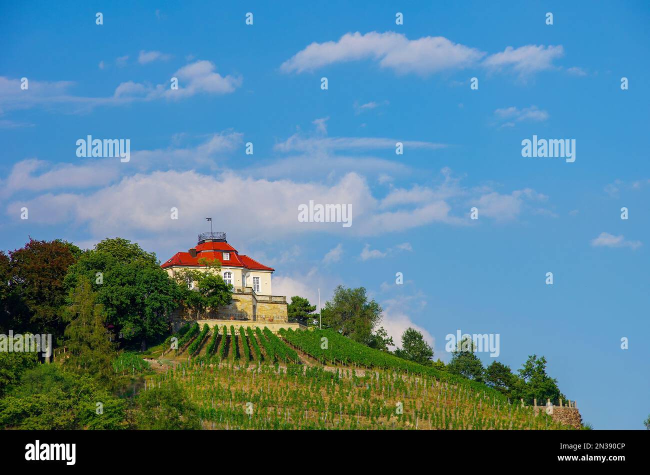 Malerische Landschaft der historischen Weinberge von Radebeul über Wackerbarth Manor, dem Sachsen Staatsweingut, Radebeul, Sachsen, Deutschland. Stockfoto