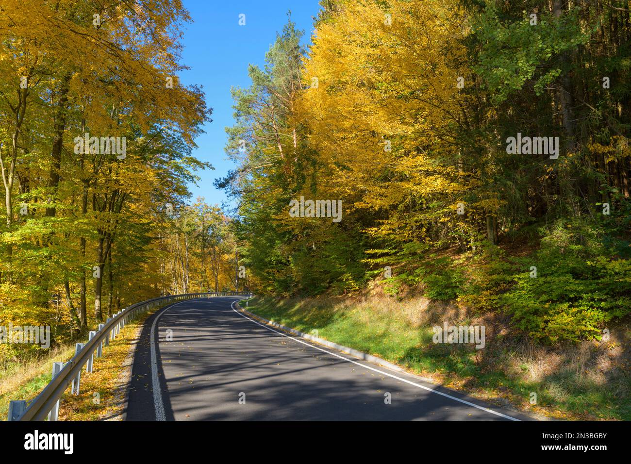 Straße führt durch Wald im Herbst, Rothenbuch, Spessart, Bayern, Deutschland Stockfoto