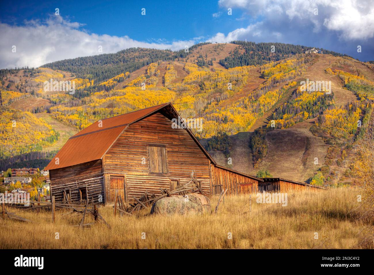 Die berühmte Steamboat Barn (More Barn) mit herbstlichen Bäumen, die den Berghang bedecken; Steamboat Springs, Colorado, Vereinigte Staaten von Amerika Stockfoto