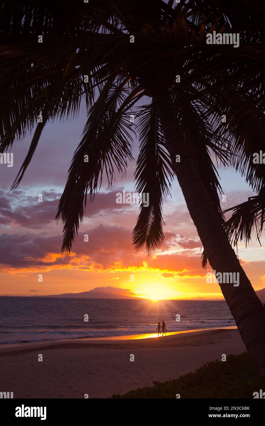 Silhouette von Palmen und Paar spazieren bei Sonnenuntergang am Keawakapu Beach; Wailea, Maui, Hawaii, Vereinigte Staaten von Amerika Stockfoto