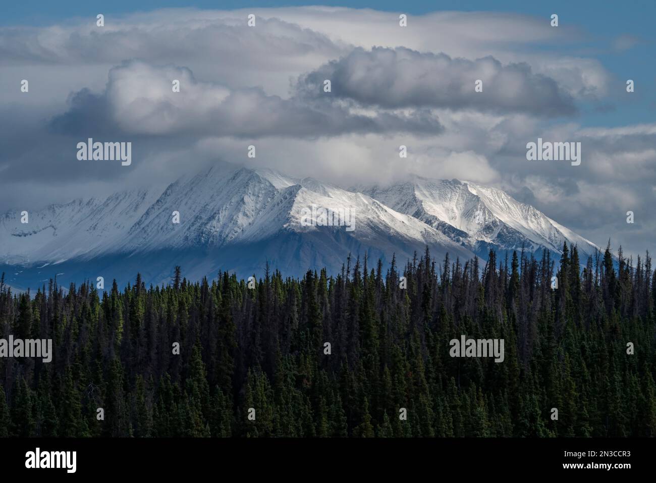 Der in Wolken gehüllte Mount Decoli befindet sich außerhalb der Haines Junction, Yukon, Kanada Stockfoto