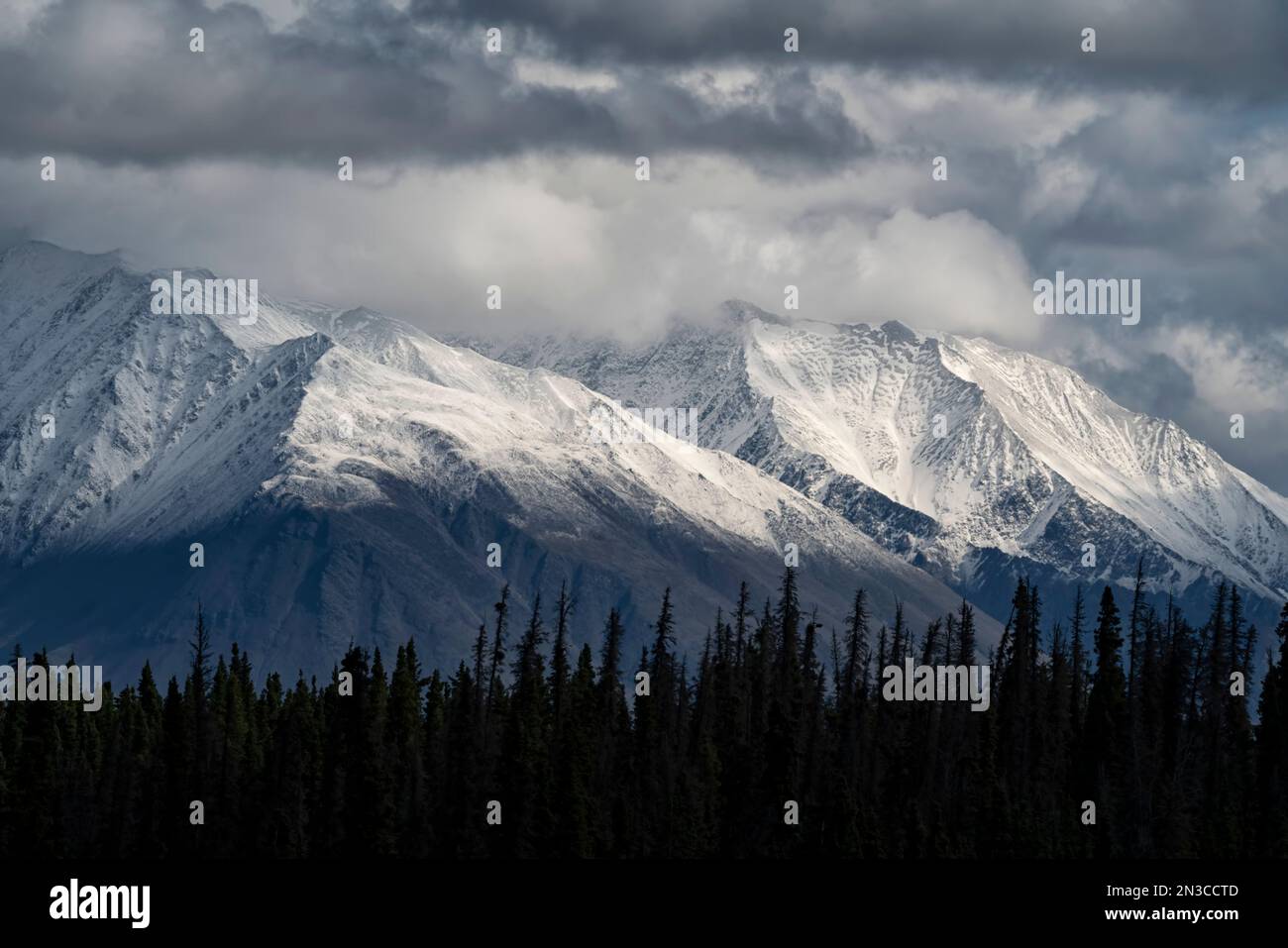 Der in Wolken gehüllte Mount Decoli befindet sich außerhalb der Haines Junction, Yukon, Kanada Stockfoto
