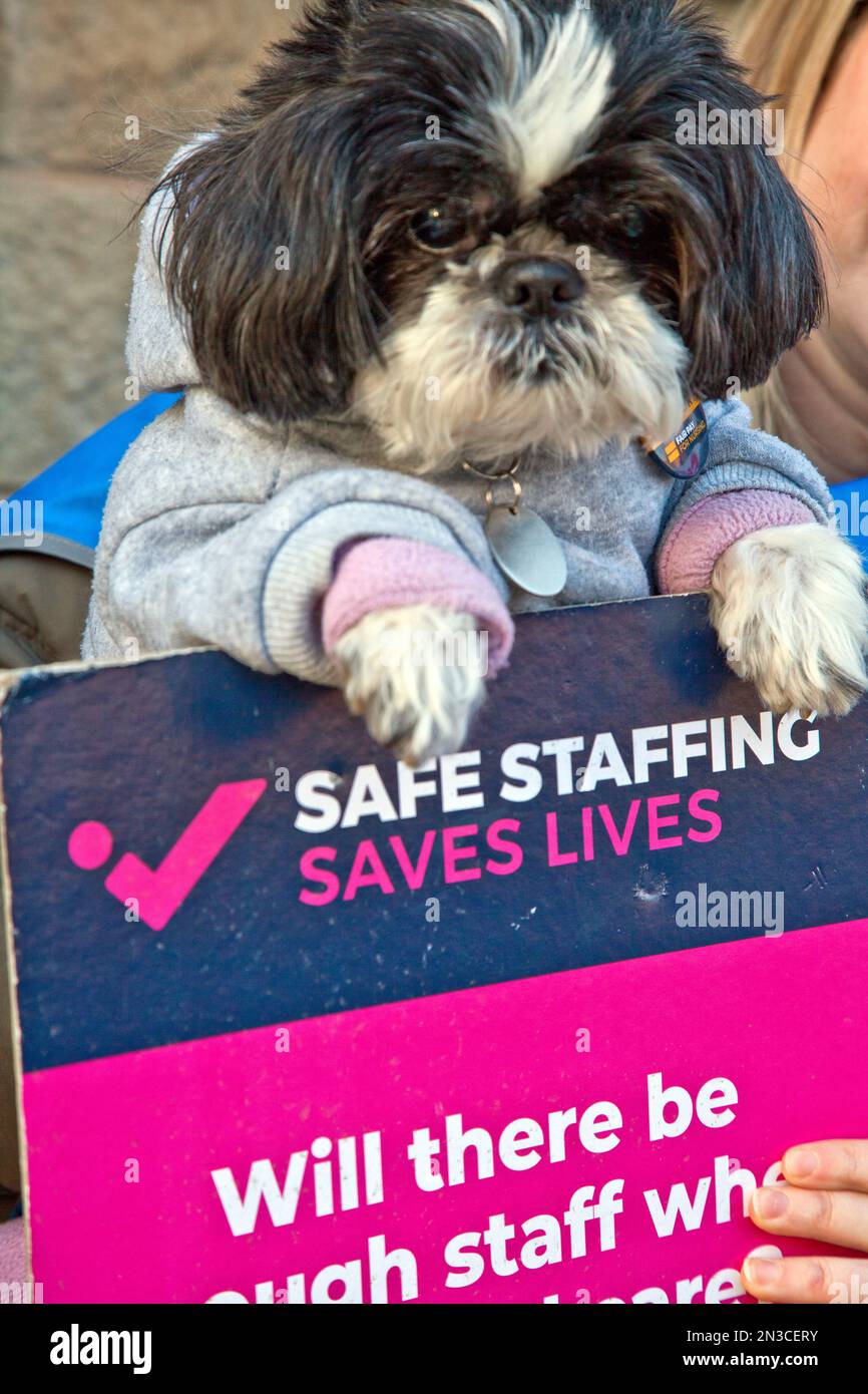 Krankenschwestern am Streikposten vor dem Sheffield Children's Hospital, 6. Februar 2023 Stockfoto