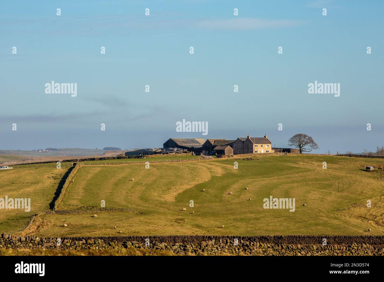 Blick auf eine typische Farm und ein Haus im Peak District in der Nähe des Dorfes Flash im Moorland von Staffordshire Stockfoto