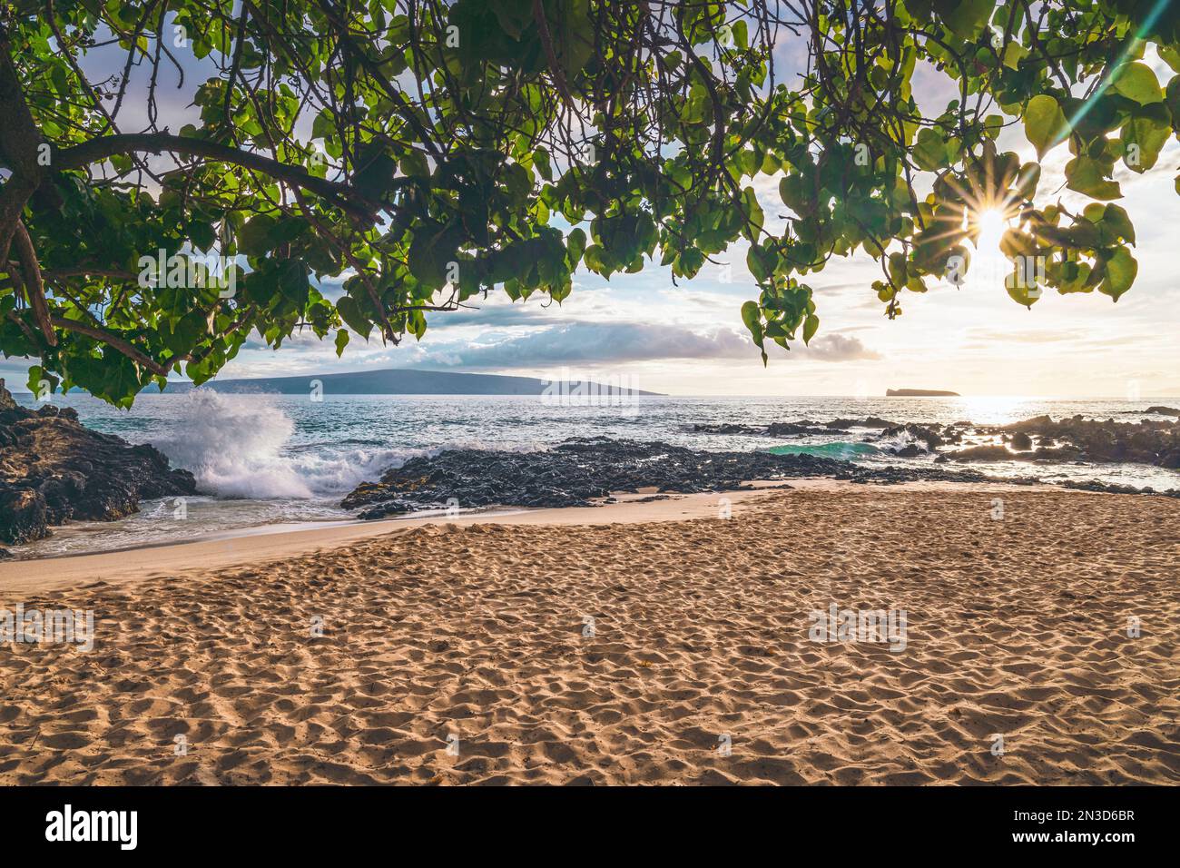 Blicken Sie durch die Blätter der Wellen, die gegen den Lavafelsen schlagen, auf den goldenen Sand des Secret Beach in Makena Cove Stockfoto