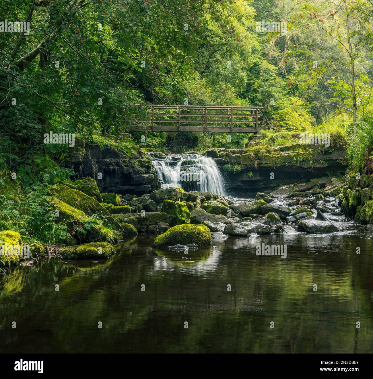 Kleiner Wasserfall, der unter einer rustikalen Holzbrücke fließt, während er über ein mehrschichtiges felsiges Regal fließt, eingerahmt von überhängenden Bäumen Stockfoto