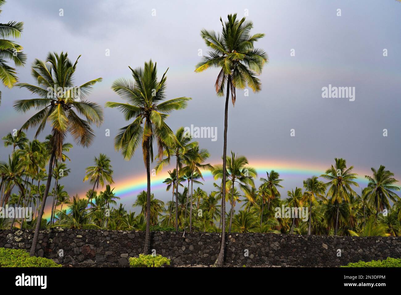 Palmen vor dem grauen Himmel mit doppelten Regenbögen über dem Pu'uhonua O Hōnaunau National Historical Park an der Westküste der Big Island of Hawa... Stockfoto