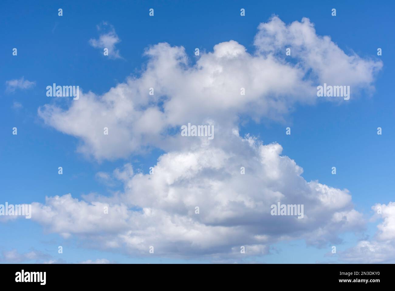 Weiße Kumuluswolken vor blauem Himmel, Carlisle Bay, Bridgetown, St. Michael Parish, Barbados, Kleine Antillen, Karibik Stockfoto