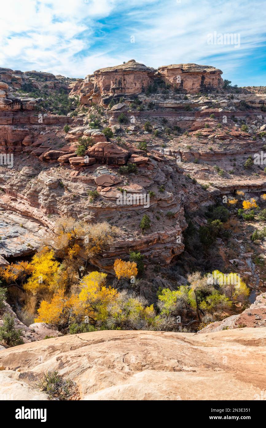 Ein Blick in den Big Spring Canyon mit wunderbarer Geologie im Canyonlands National Park; Blanding, Utah, Vereinigte Staaten von Amerika Stockfoto