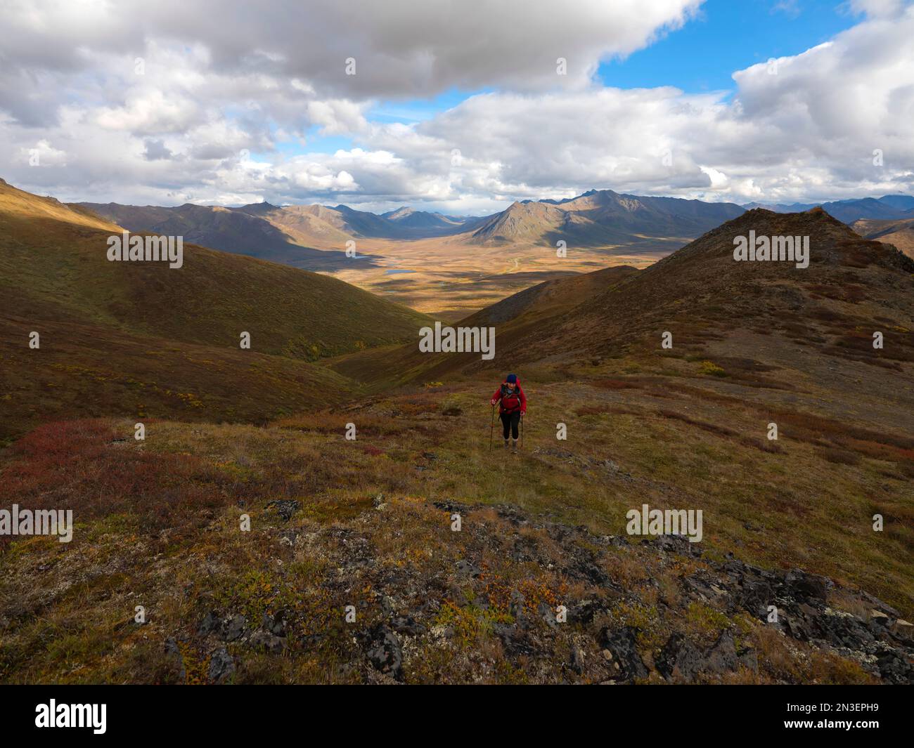 Frau, die die Berge und Gebirgsketten entlang des Dempster Highway erkundet; Dawson City, Yukon, Kanada Stockfoto