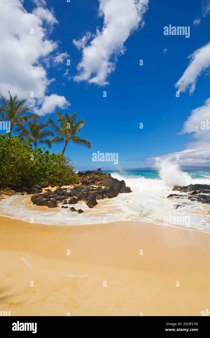 Surfen, Sand und Palmen in Makena Cove, auch bekannt als Secret Beach und Wedding Beach; Makena, Maui, Hawaii, Vereinigte Staaten von Amerika Stockfoto