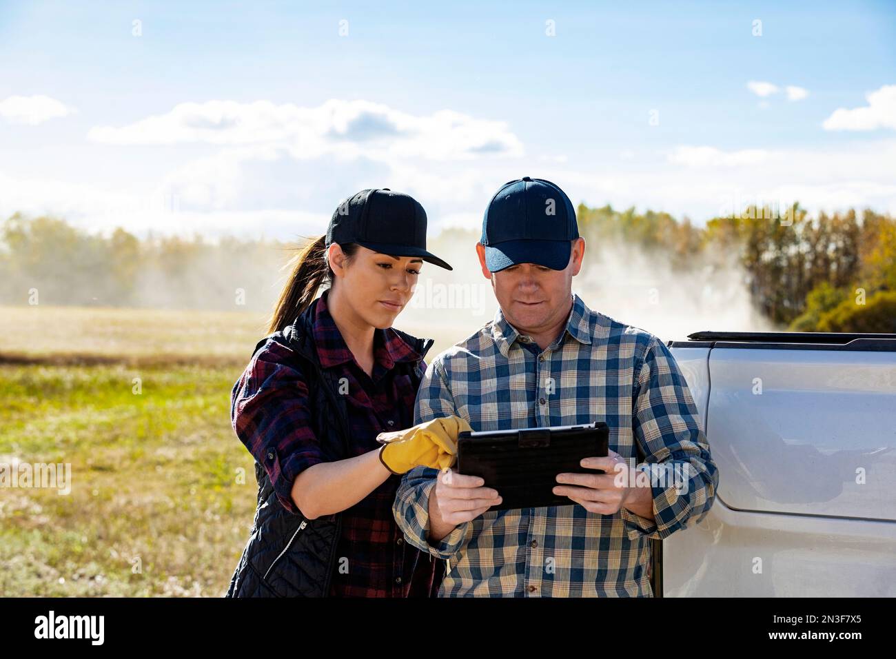 Ein Mann und eine Frau, die ein tragbares drahtloses Gerät verwenden, um ihre Rapsernten mit einem Mähdrescher im Hintergrund zu verwalten und zu überwachen Stockfoto
