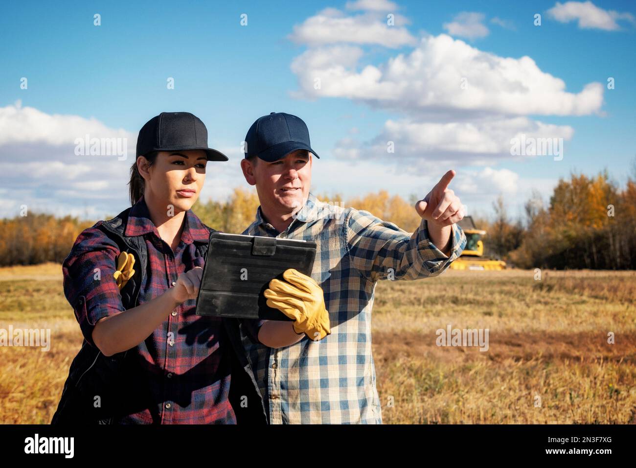Ein Mann und eine Frau, die ein tragbares drahtloses Gerät verwenden, um ihre Rapsernten mit einem Mähdrescher im Hintergrund zu verwalten und zu überwachen Stockfoto