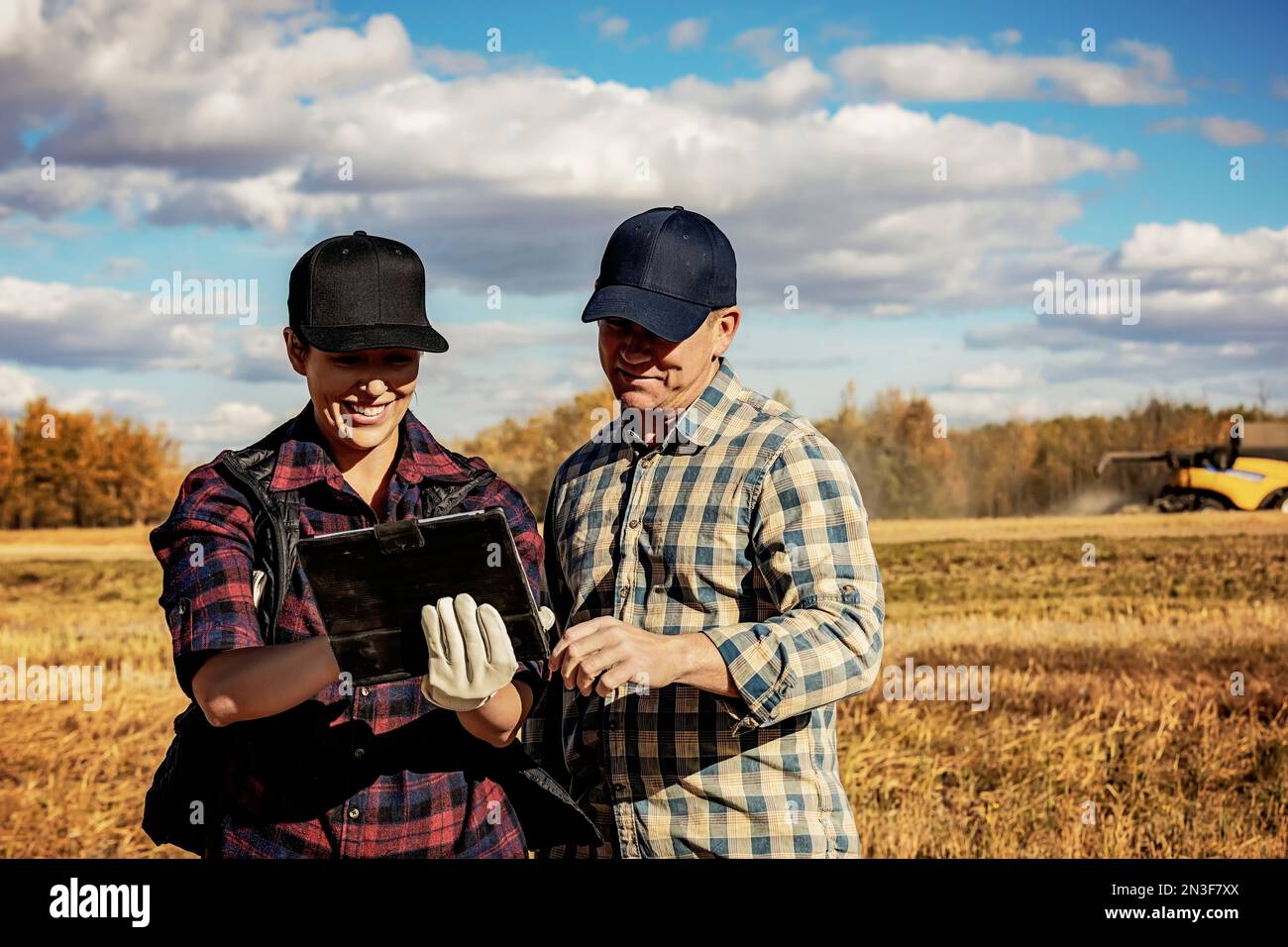 Ein Mann und eine Frau, die ein tragbares drahtloses Gerät verwenden, um ihre Rapsernten mit einem Mähdrescher im Hintergrund zu verwalten und zu überwachen Stockfoto