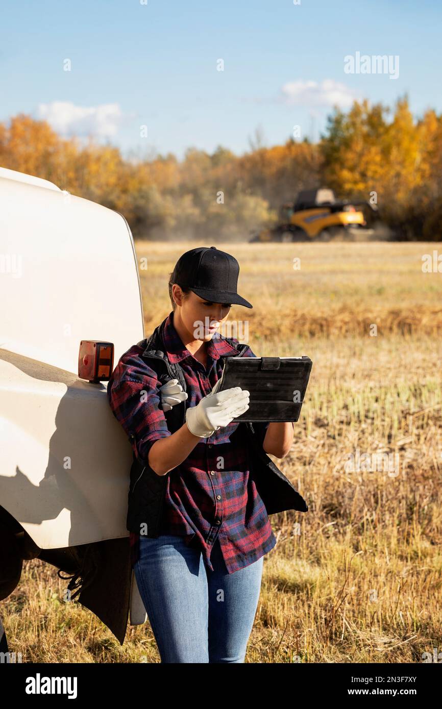 Eine Frau, die neben einem Getreidetransporter steht und ein tragbares Funkgerät benutzt, um eine Herbsternte mit einem Mähdrescher zu verwalten und zu überwachen... Stockfoto