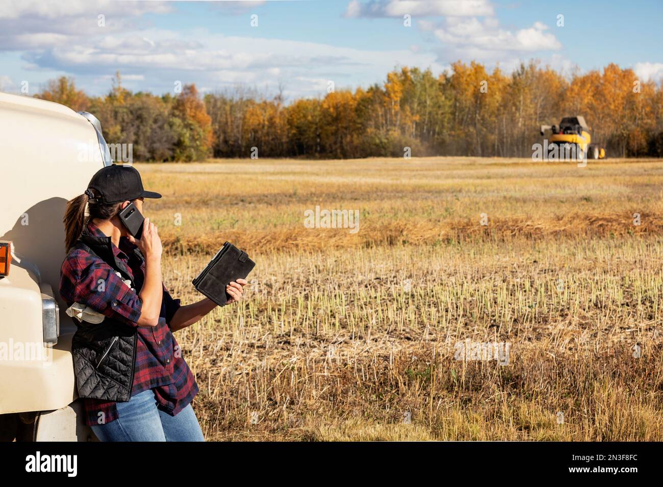 Eine Frau, die neben einem Getreidetransporter steht, tragbare drahtlose Geräte benutzt, um eine Ernte im Herbst zu verwalten und zu überwachen, telefoniert mit einem... Stockfoto