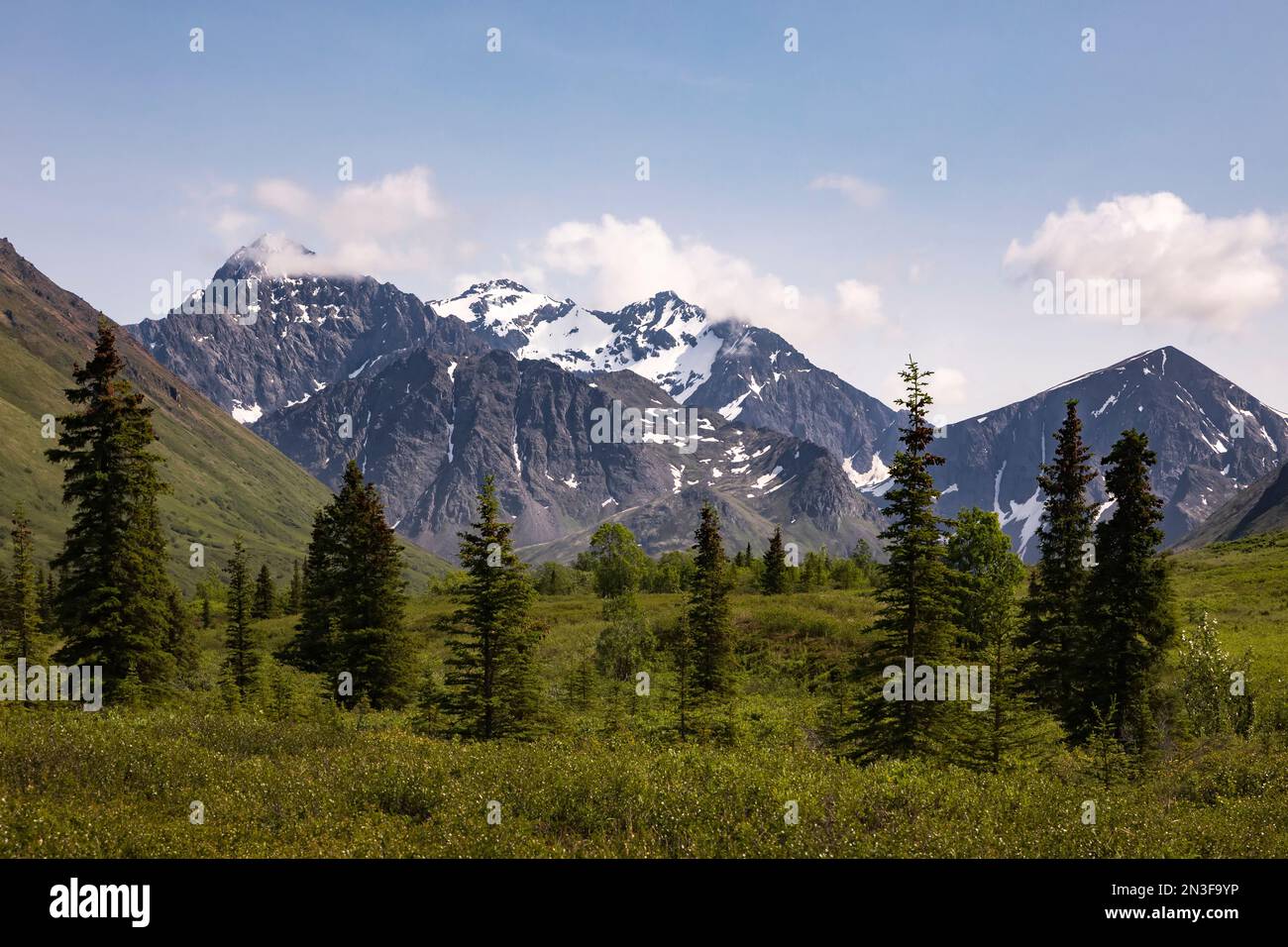 Schöner Tag in den Chugach Mountains und im Wald im Chugach State Park in Alaska, USA; Alaska, Vereinigte Staaten von Amerika Stockfoto