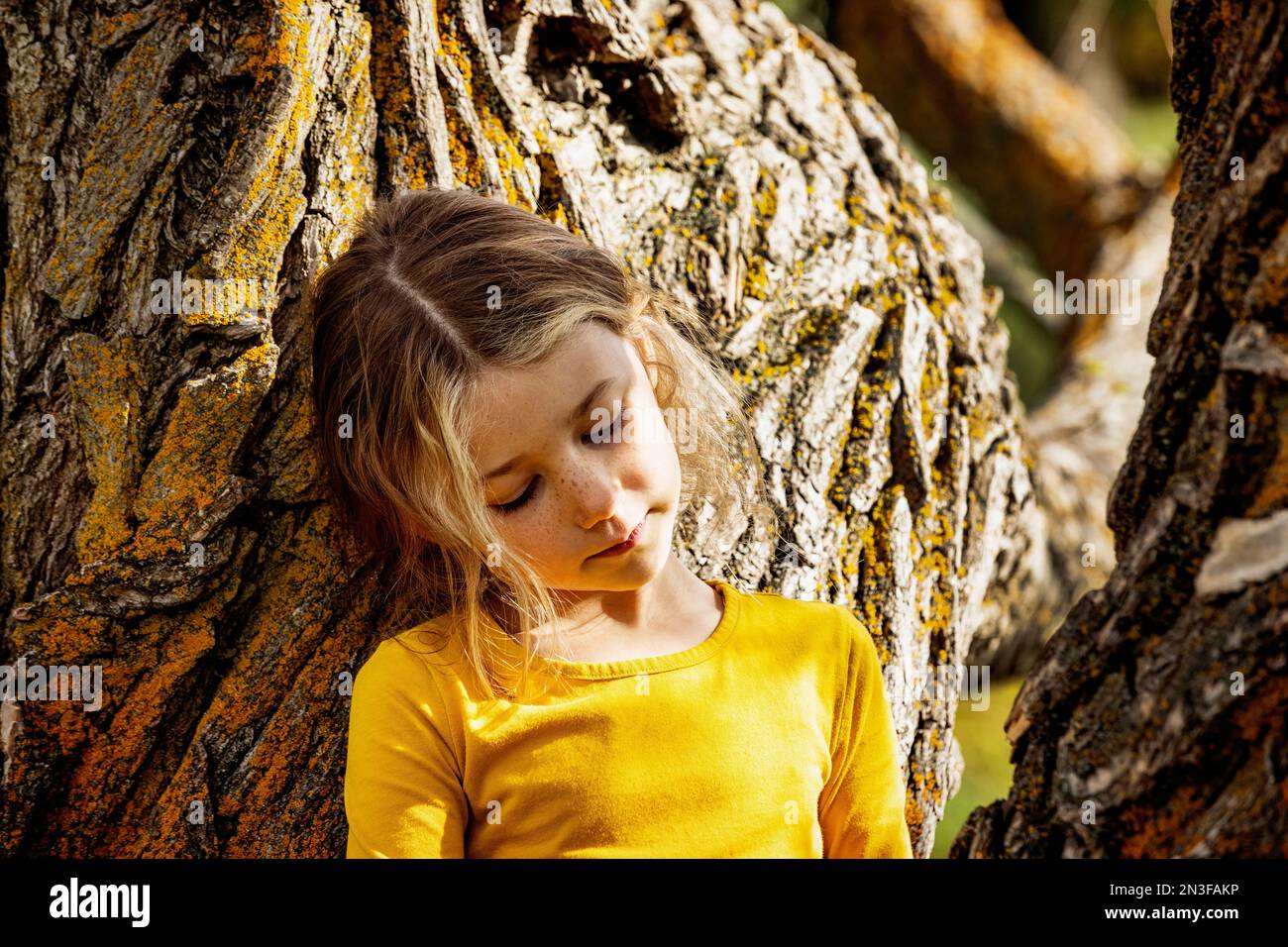 Junges Mädchen, das in der Nähe eines Baumes spielt und einen Moment in einem Stadtpark an einem warmen Herbstnachmittag inne hält; St.. Albert, Alberta, Kanada Stockfoto