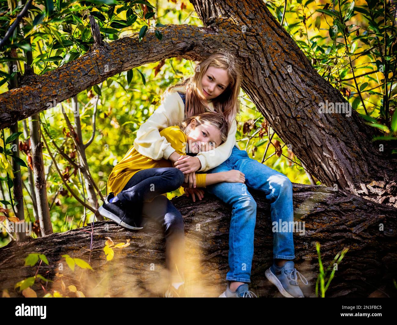 Zwei Schwestern posieren für ein Foto, während sie sich gegenseitig amüsieren und an einem warmen Herbsttag gemeinsam auf einem großen Baumkrone im Wald spielen... Stockfoto