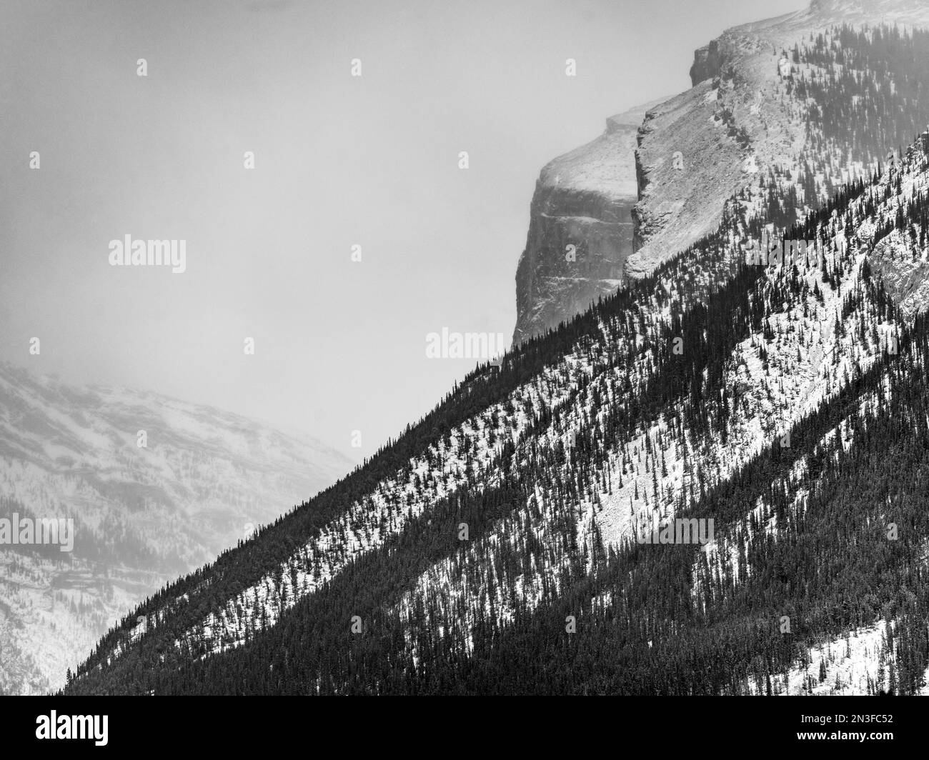 Die zerklüfteten kanadischen Rocky Mountains im Banff National Park mit einem schneebedeckten Wald an einem steilen Berghang Stockfoto