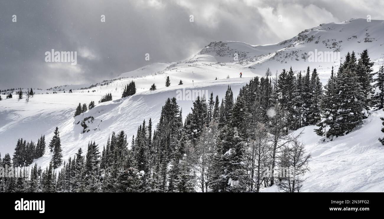 Skifahrer genießen die schneebedeckte Landschaft in einem Skigebiet im Banff National Park, Alberta, Kanada; Improvement District No. 9, British Columbia, Kanada Stockfoto