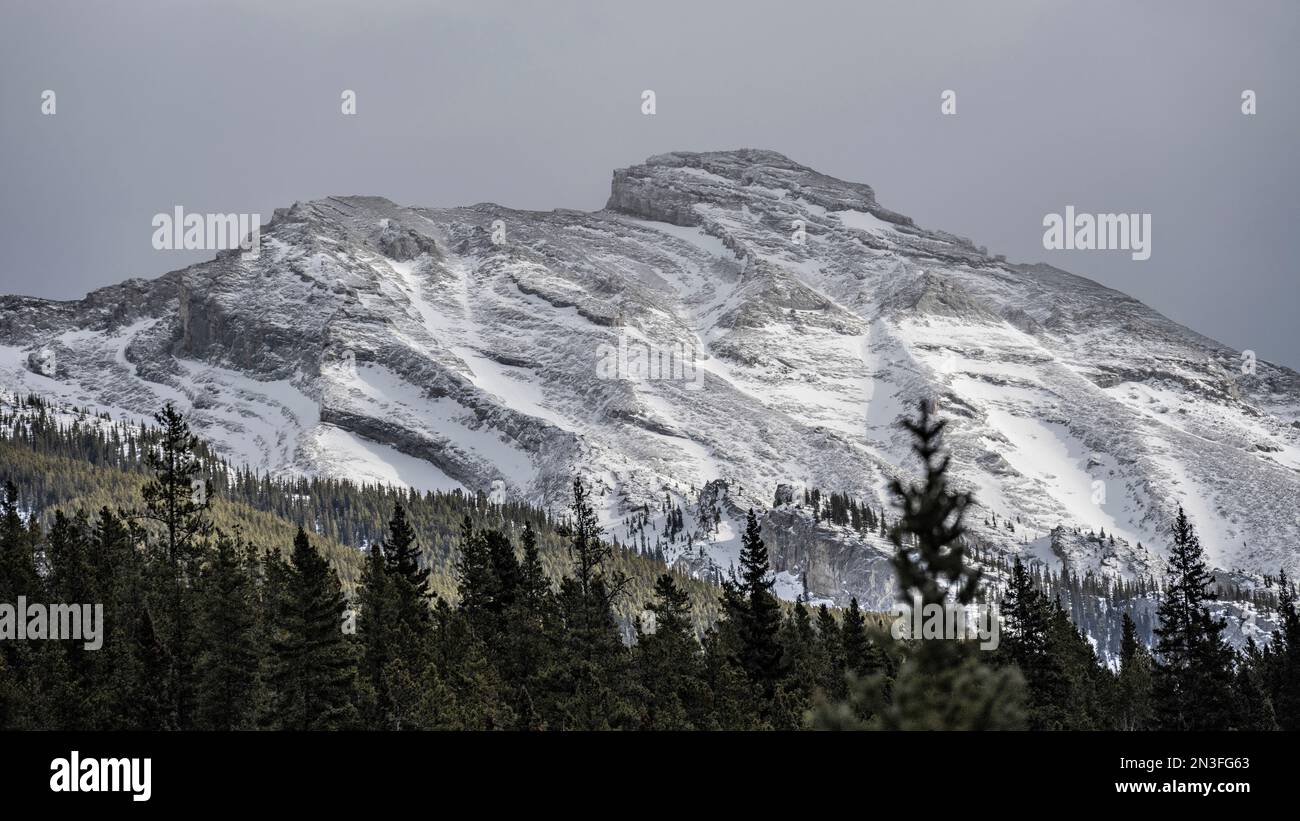 Die Schönheit der Rocky Mountains im Banff National Park, Alberta, Kanada; Improvement District No. 9, Alberta, Kanada Stockfoto